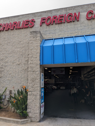 Photo from customer review